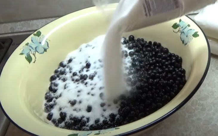 Перетертая черная смородина с сахаром на зиму – 5 рецептов без варки